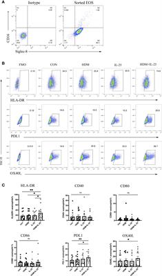 Role of IL-25 on Eosinophils in the Initiation of Th2 Responses in Allergic Asthma